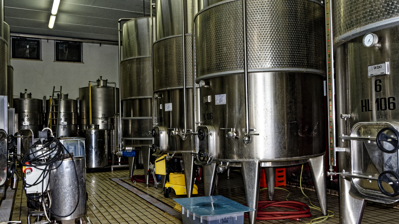 20220910 161934•Wine Tasting•Collepepe•Umbria•Italy